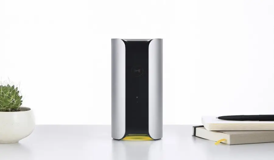 Canary Review